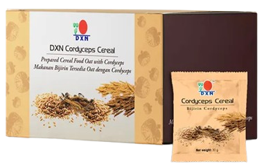 cordyceps.png removebg preview