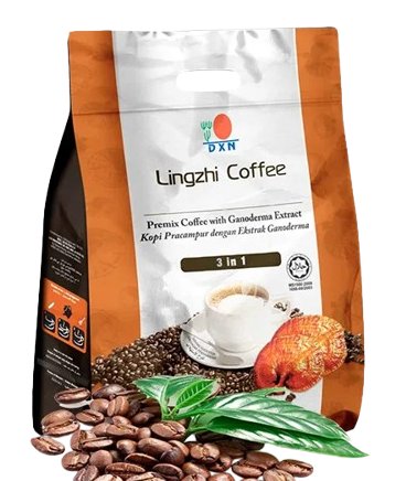 sin título 2.png removebg preview