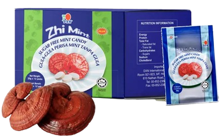 zhimit.png removebg preview