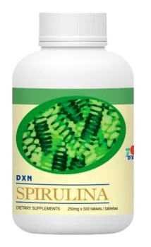 ess removebg preview