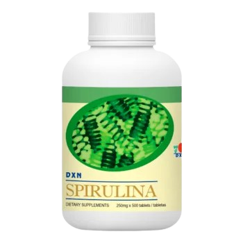 ess removebg preview