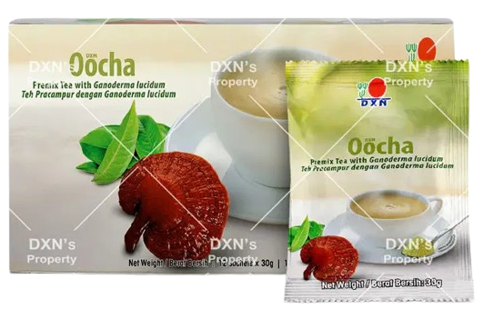 image 4 removebg preview