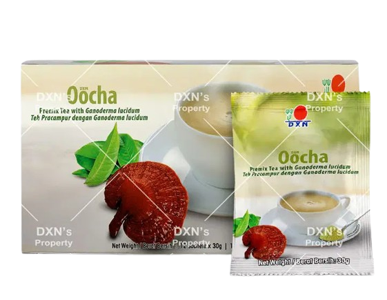 image 4 removebg preview