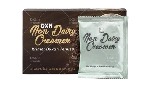 image 8 removebg preview