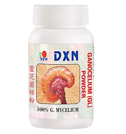 producto13.png removebg preview