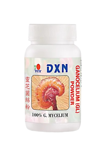 producto13.png removebg preview