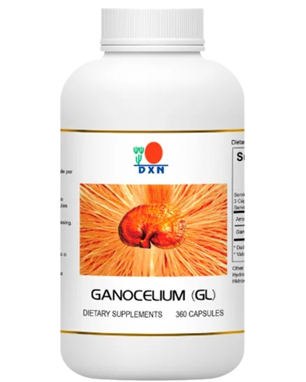 producto38.png removebg preview