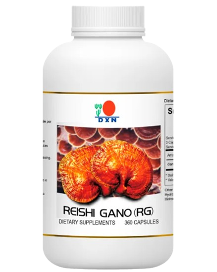 producto39.png removebg preview