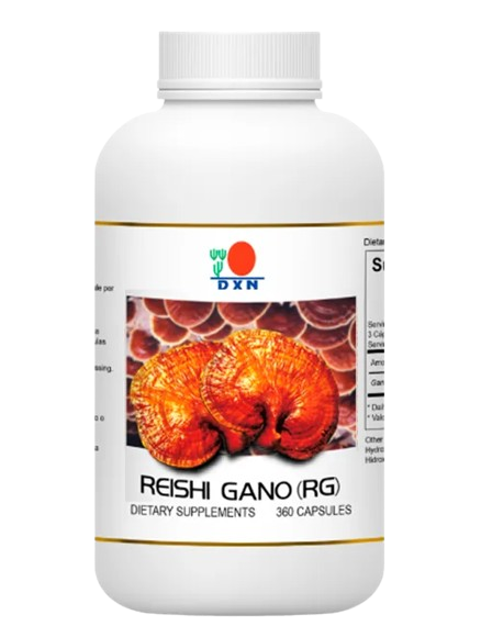 producto39.png removebg preview